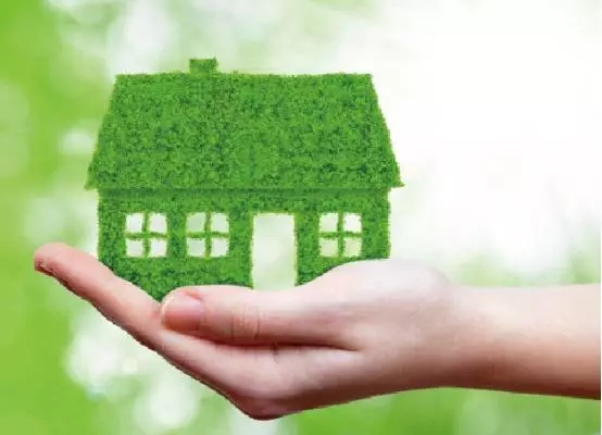 1554862032237535.jpg 640.webp (3).jpg