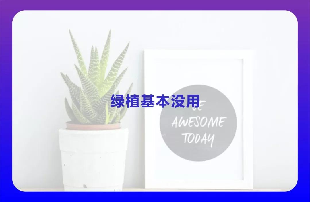 1558580400442194.jpg 9.jpg