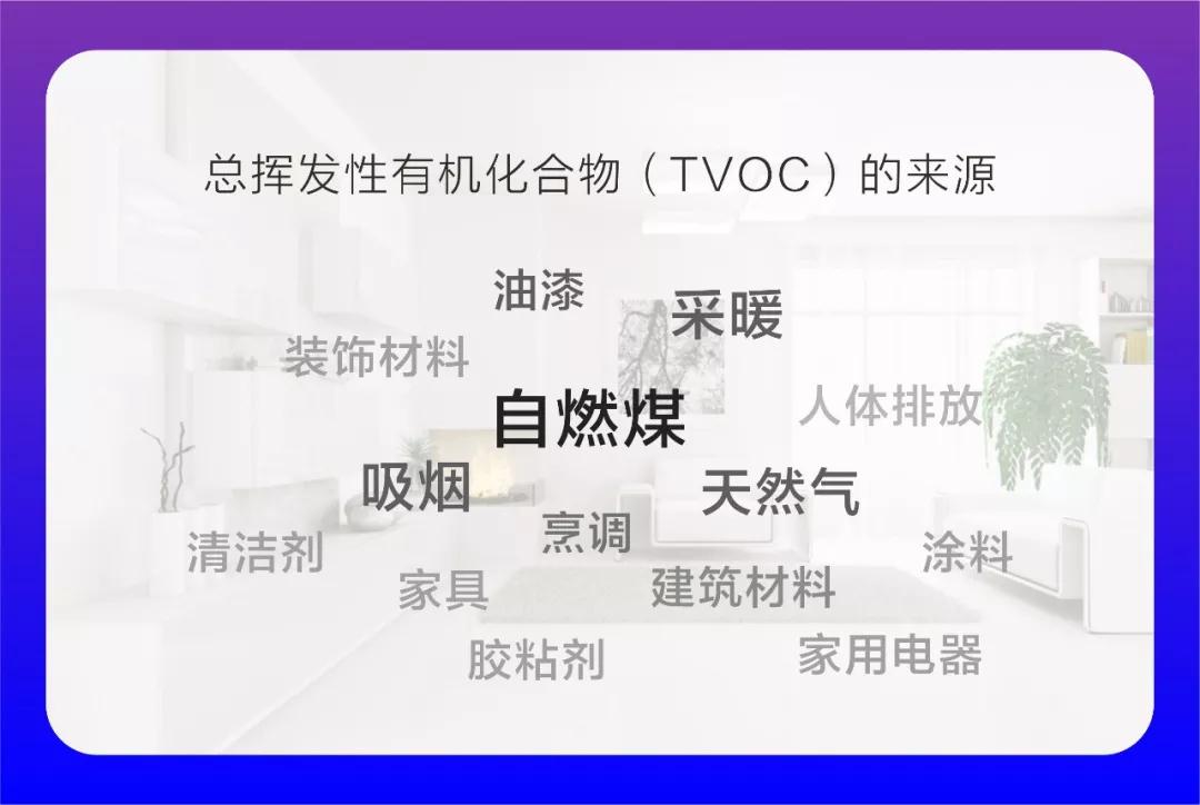 1558581146604295.jpg 21.jpg