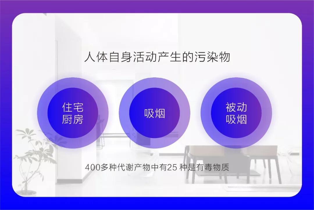 1558581191342231.jpg 24.jpg