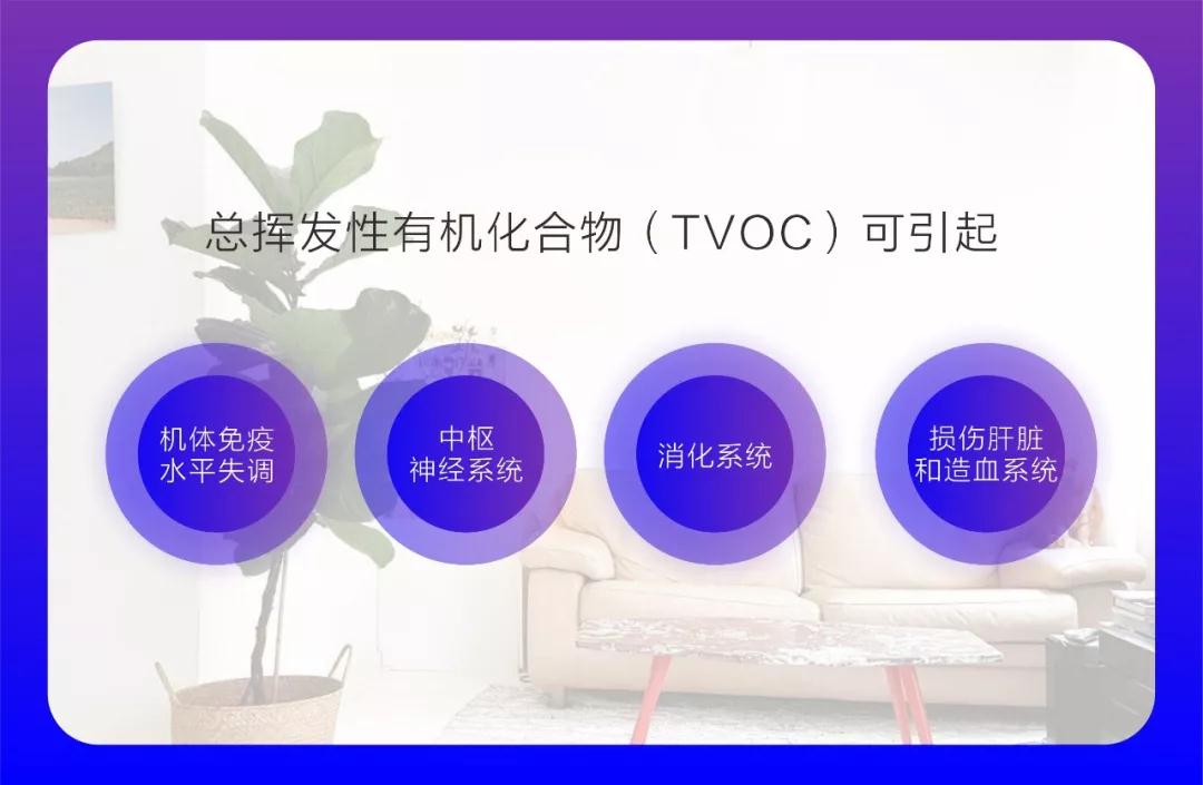 1558581367894329.jpg 32.jpg