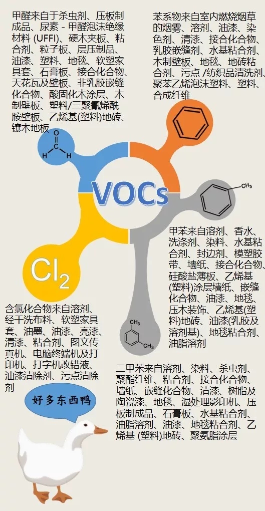 1560226233118621.jpg 2.webp (1).jpg