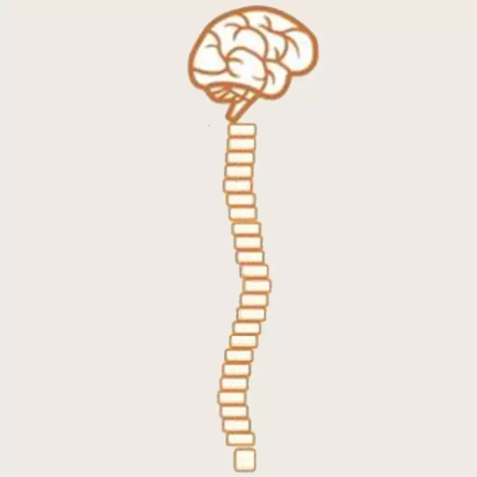 1560226764205261.jpg 640.webp.jpg