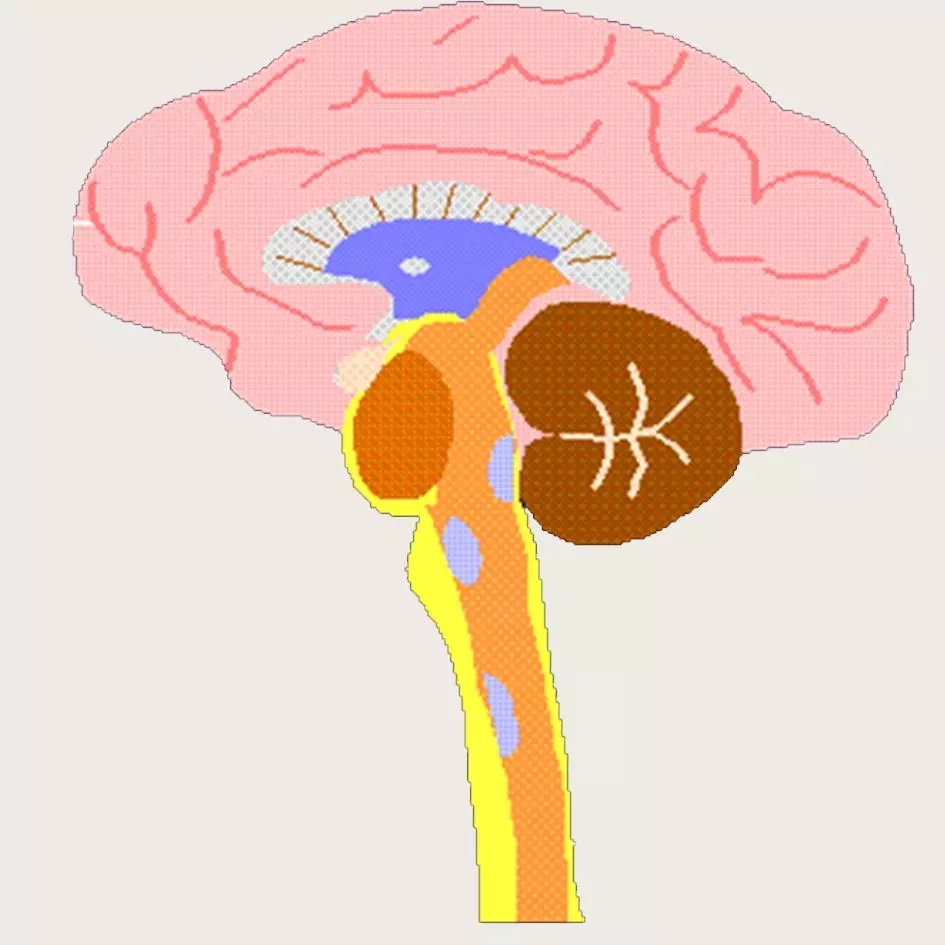 1560227050140812.jpg 640.webp (1).jpg