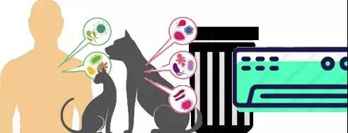 1561082522301007.jpg 1.jpg