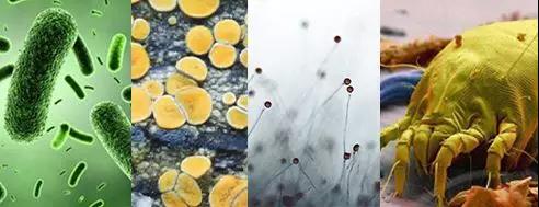 1561082538633815.jpg 2.jpg