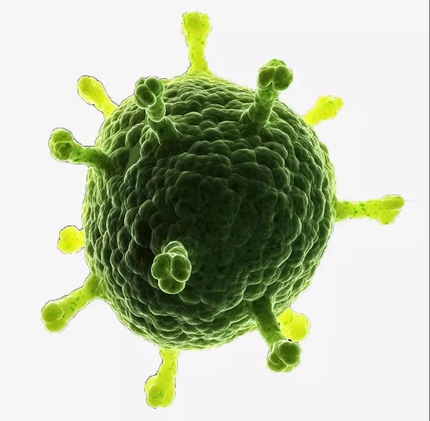 1561082717115647.jpg 4.jpg