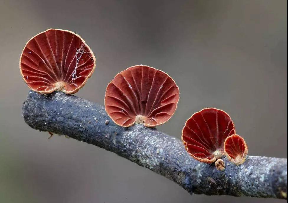 1561082741114503.jpg 5.jpg