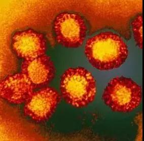 1561082764112661.jpg 6.jpg