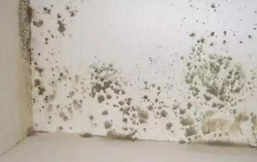 1561082836383628.jpg 7.jpg