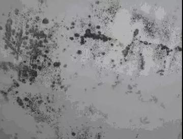 1561082842848629.jpg 8.jpg