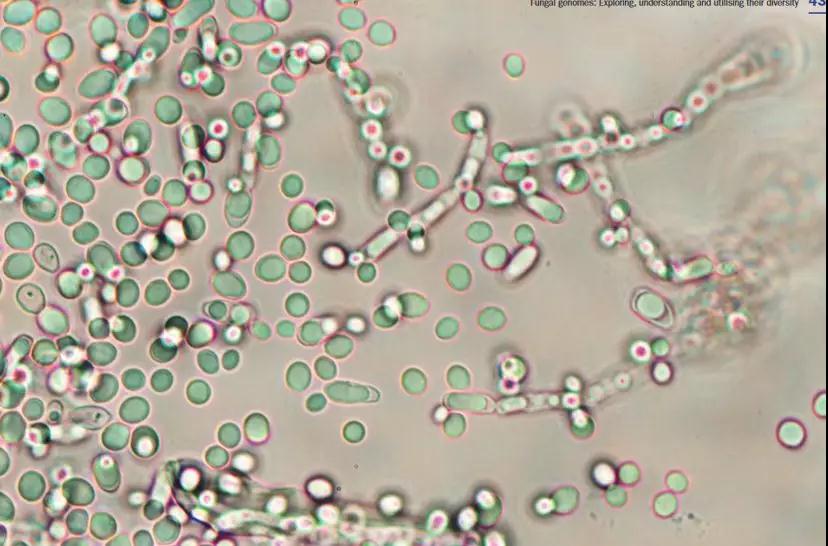 1561082911554550.jpg 10.jpg