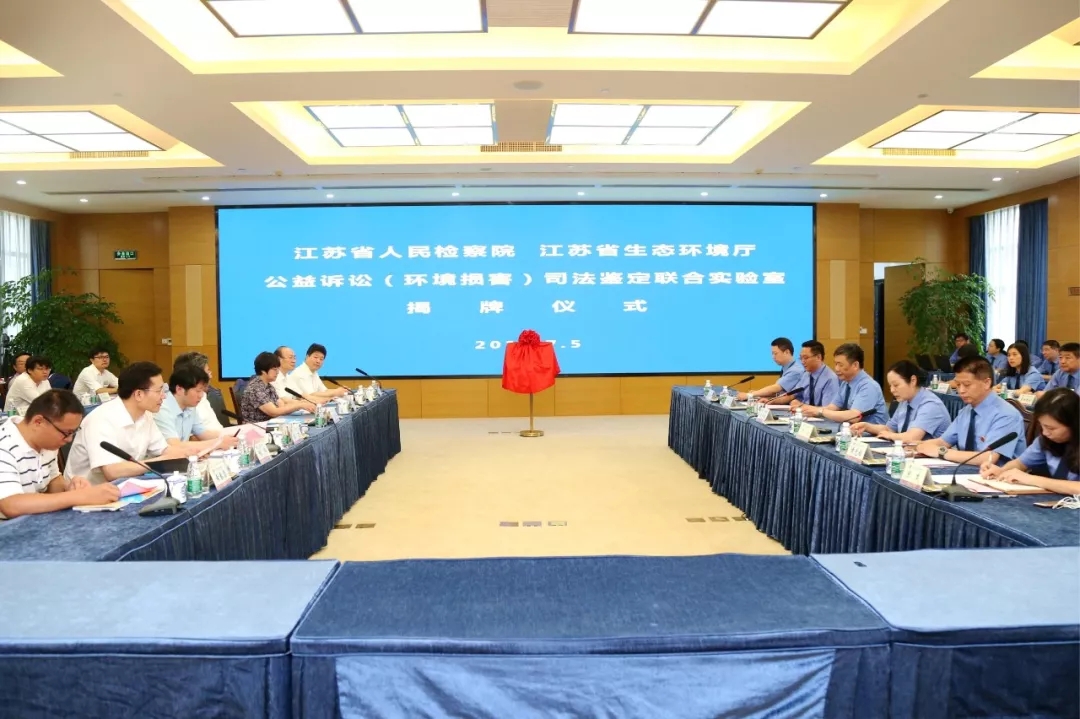 1562651631121788.jpg 640.webp.jpg